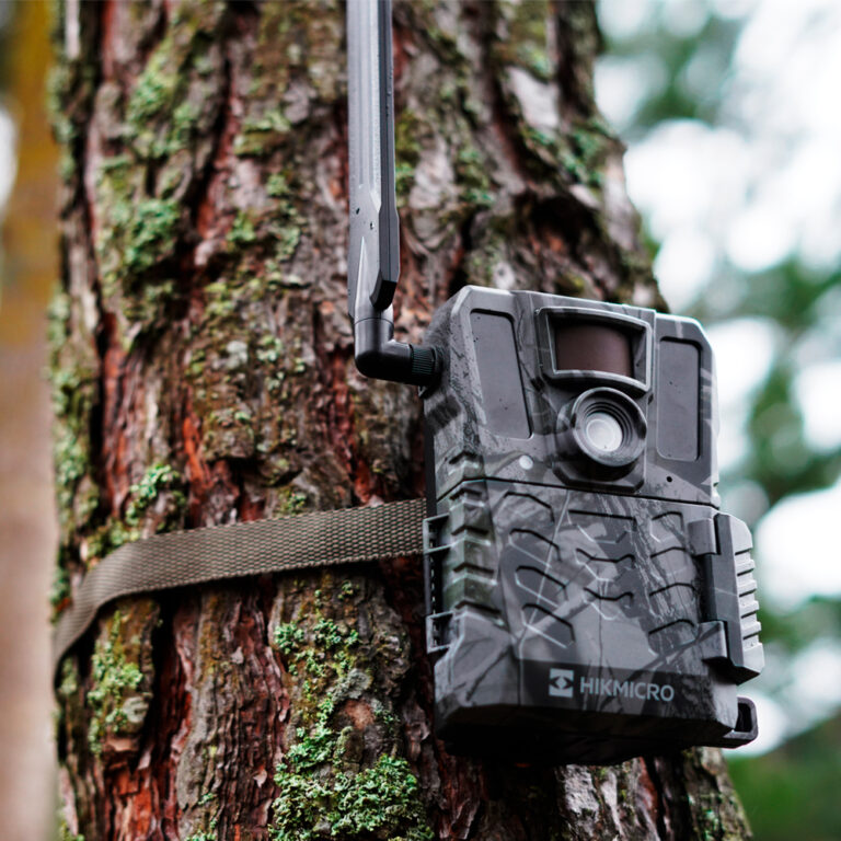 Cámara de fototrampeo HIKMICRO M15 4G IR 940 nm - El Caldén Outdoor