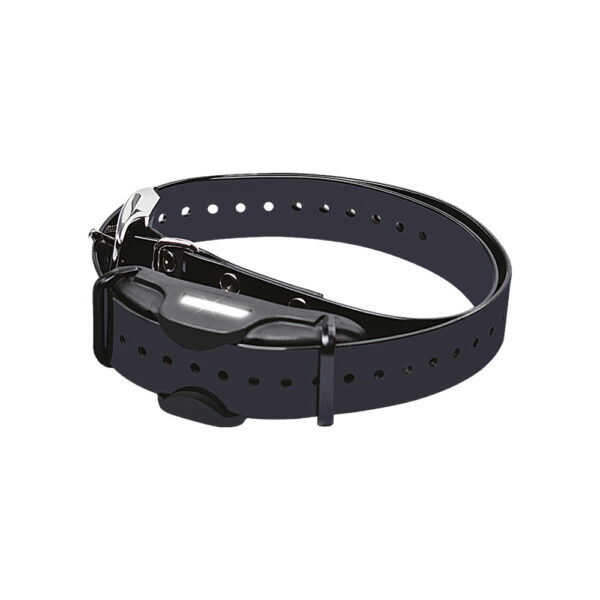 BT-051 Collar de adiestramiento para perros Professional Dresseur BITRABI imagen principal